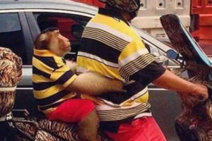 "思わず二度見してしまう"通勤中の異様な光景【15選】