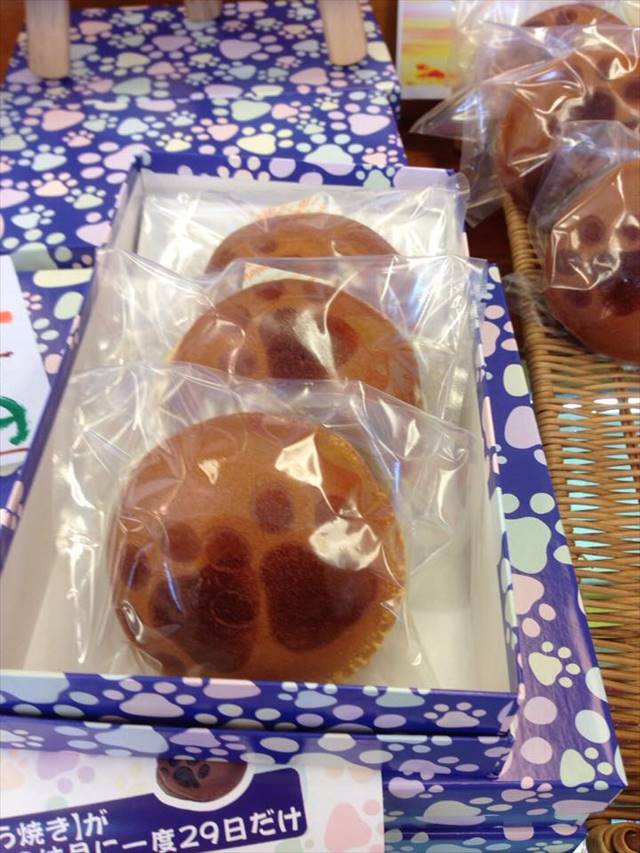 11046497_933549276668524_486464052757129634_n_R