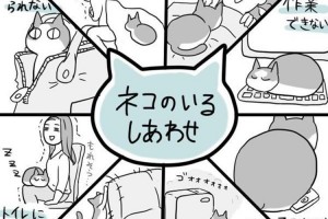 「出かけられない...」困ったちゃんだけど“ネコがいることで得られる幸せ”が深い