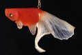 【美しい】プラバンで作った金魚がリアルで今にも動き出しそう