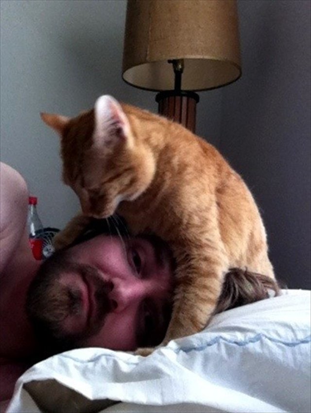 desktop-1438617884_R