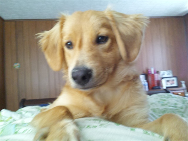 desktop-1438617886_R