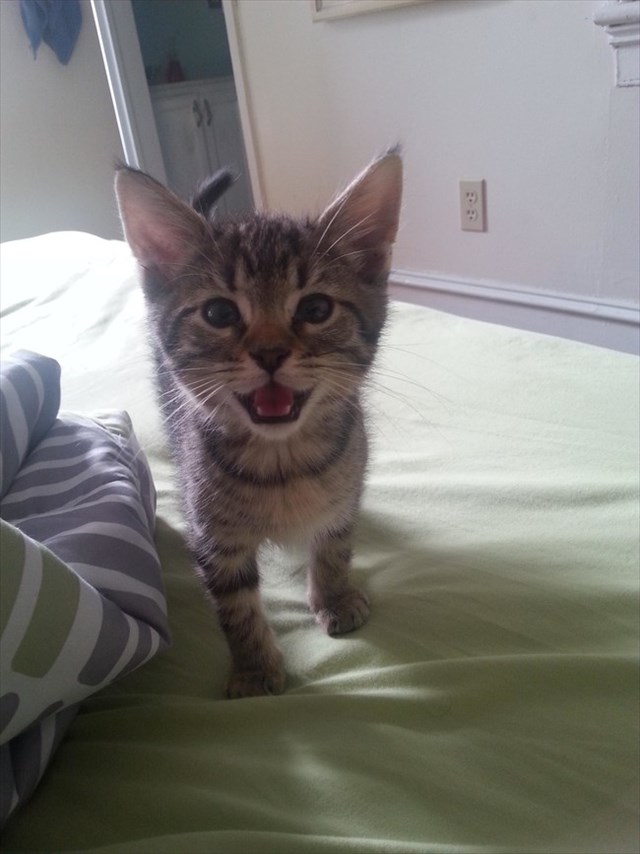 desktop-1438617922_R