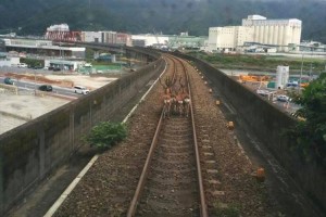 「鹿がいて三陸鉄道が進めない！」1枚の画像が"あの映画みたい"と話題に！