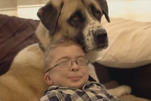 片方の後ろ足としっぽを失った犬が、難病を患う少年の人生を劇的に変えた