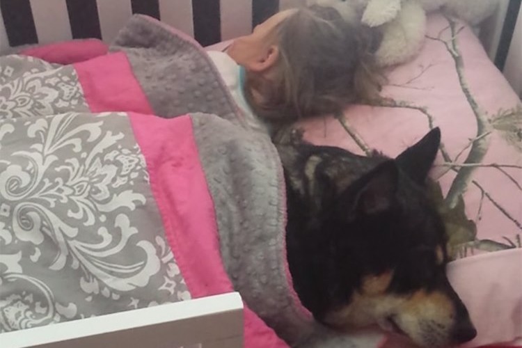ある幸せなお昼。ベッドには愛する我が子と愛犬が