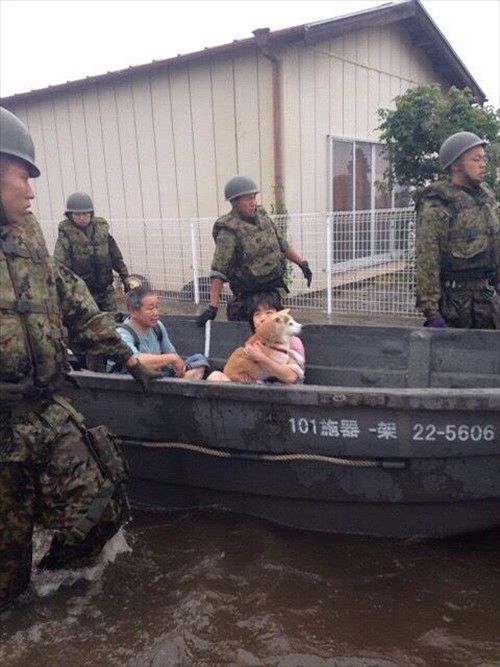 11146478_1073131779371475_968357491248295206_n_R