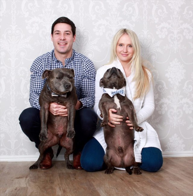 cute_dog_brothers_05_R