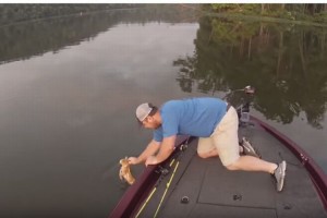 なんだと!?「釣りをしていたら猫が釣れたんですけど...」