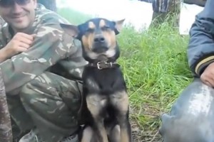 睡魔に襲われて"何度も寝落ちしそうになるワンコ"が可愛らしい♪