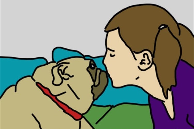 "犬が持つ特別な感覚"が私たちに教えてくれる"8つ"のこと