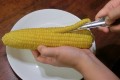 気持ちいい!!1列ごっそりコーンが取れる“粒取り名人”が売れてるらしい