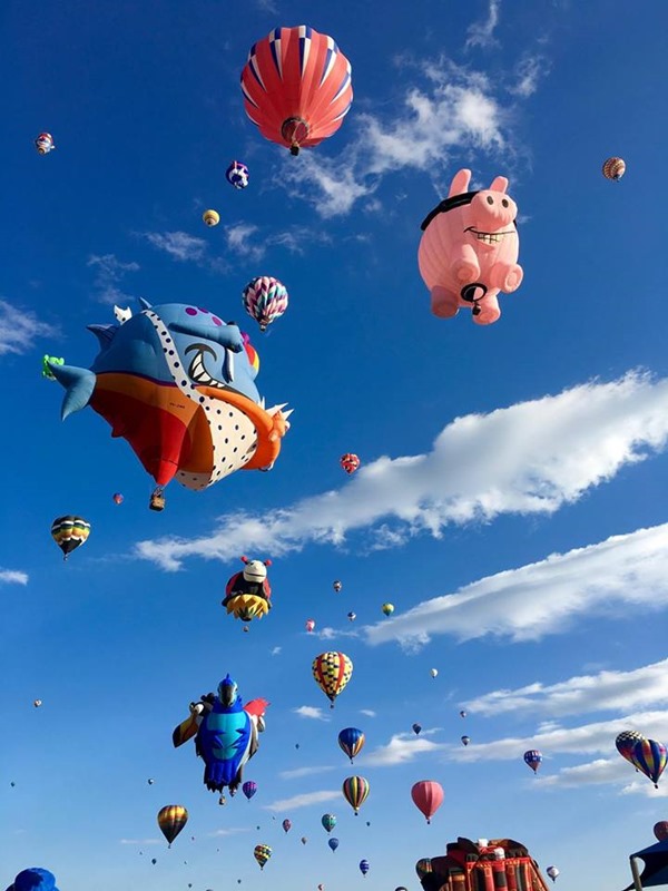 12109099_10153718753229390_4486530343633657680_nr