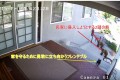 お家への侵入は許さないワン!2匹の熊を追い払うフレンチブルがカッコいい!