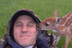 母に捨てられた子鹿…人間の優しさに助けられ、再び野生へと帰るまで