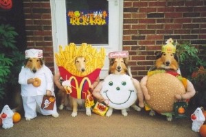 【画像10選】“動物たちのハロウィン仮装”もヒートアップ！思わずキュン死確定！？