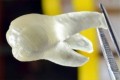 3Dプリンタで“虫歯ができない義歯”を実現か!?歯に触れただけで虫歯菌が99%死滅