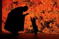 “まるで絵画のように美しい”安国寺のドウダンツツジの紅葉が今年も見頃に!