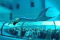 【動画】“世界一深いプール”は「人魚ショー」世界一煌びやかだった