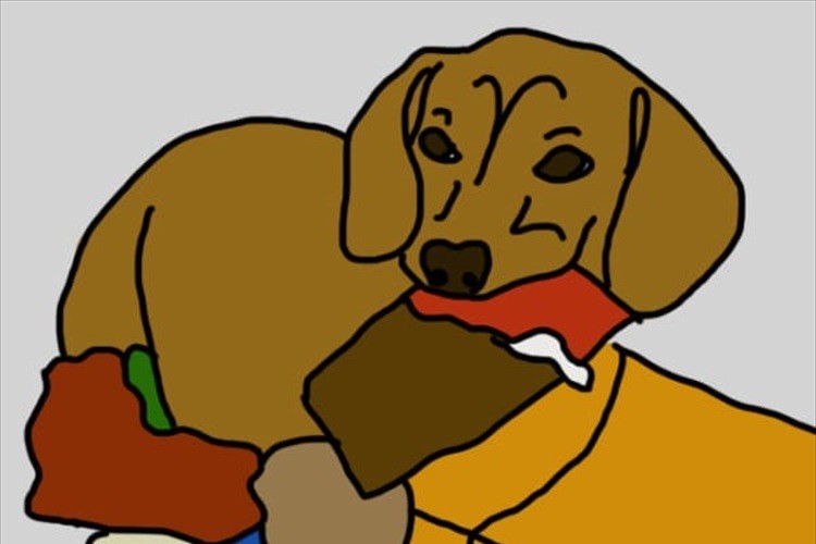 これからの季節、愛犬を危険に晒さないようにするための10のこと