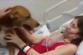 「最後にもう一度だけ会いたい」余命わずかの末期がん患者が愛犬に再会!