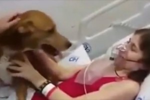 「最後にもう一度だけ会いたい」余命わずかの末期がん患者が愛犬に再会！