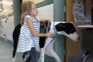 「車いすや松葉杖は、もういらない」1匹の犬との出会いが少女の人生を劇的に変えた！