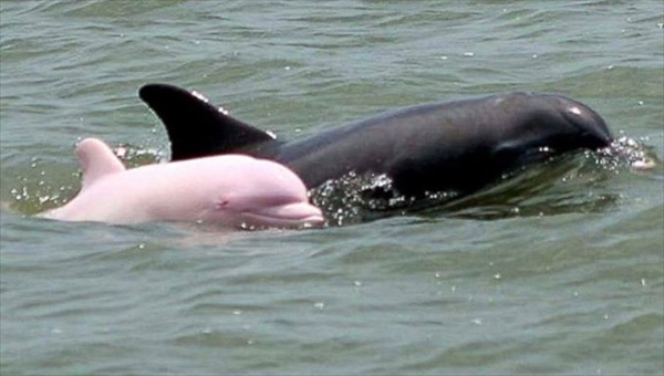 11703583_10153756489028812_3298404063385390085_o_R