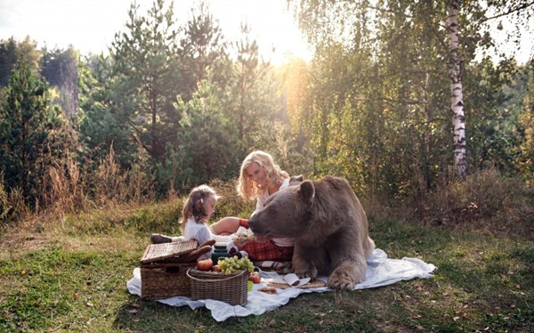 8_CATERS_TEDDY_BEAR_PICNIC_09-800x498r