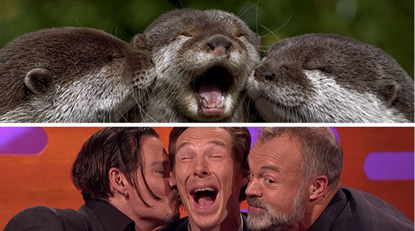 benedict-cumberbatch-otter-lookalike-doppelganger23__605_R