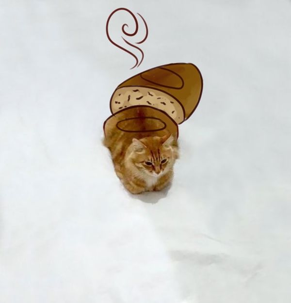 catloaf-png__605r