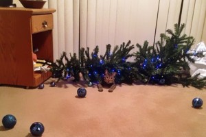 猫にクリスマスツリーを見せてはいけない事がわかる画像10選!大変だけどかわいいんだよなぁ