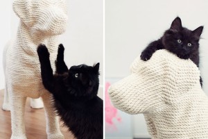 猫「参ったか!」　猫の爪とぎ用犬のぬいぐるみで爪とぎニャ！！