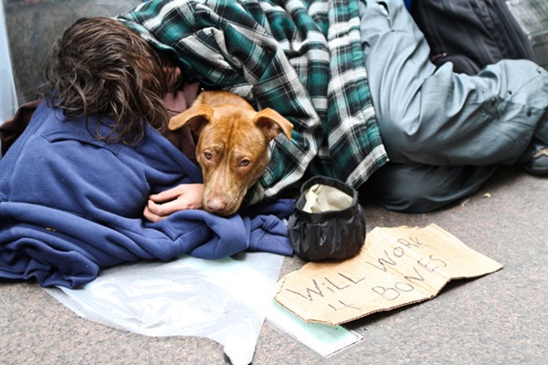 homeless-dogs-unconditional-love-best-friend-110__700r