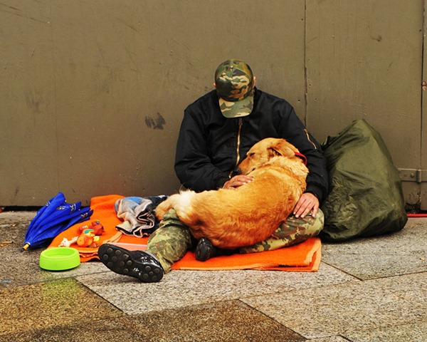 homeless-dogs-unconditional-love-best-friend-301__700r