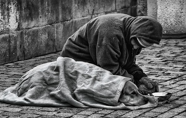 homeless-dogs-unconditional-love-best-friend-361__700r