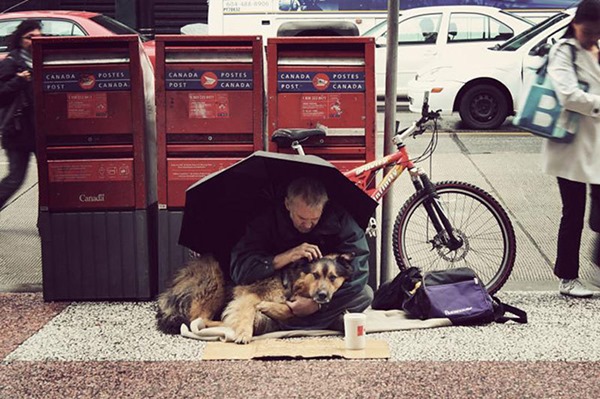 homeless-dogs-unconditional-love-best-friend-45__700r