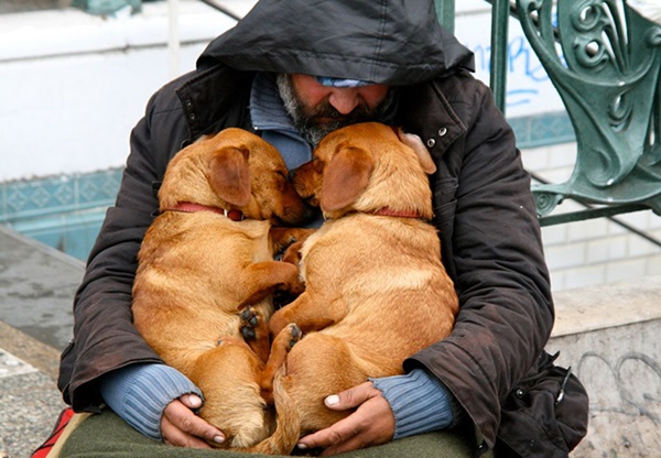 homeless-dogs-unconditional-love-best-friend-46__700r