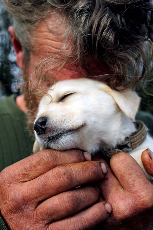 homeless-dogs-unconditional-love-best-friend-50__700r