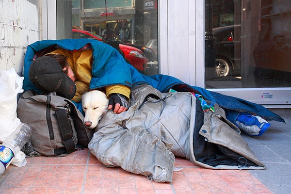 homeless-dogs-unconditional-love-best-friend-54__700r