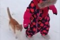 【動画】小さい女の子と飼い猫が雪の中を歩いていたら…驚愕の事件発生!