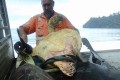 海外の浦島太郎?食用のウミガメを50ドルで買い海へリリース、海外では称賛の声