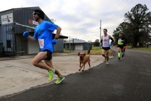 飛び入り参加の犬、ハーフマラソンで7位入賞を果たす