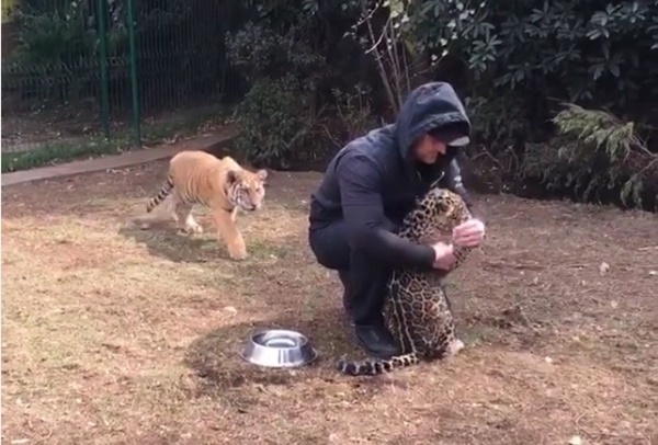 cats1r