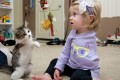 左腕を失った少女が出会った3本足の子猫とすぐに仲良しに