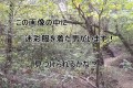 【迷彩服を捜せ!】迷彩服の実力をご覧あれ!迷彩服の男を捜せ!全15問!あなたは見つけられるかな?