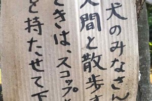 「とうとう賢いほうに頼み出した」犬のフンの後始末を呼びかけるちょっと皮肉な注意書きが話題！