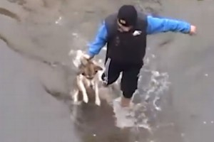 「助けてくれてありがとう」溺れかけていた犬が尻尾を振り回して喜ぶ姿が可愛すぎる！