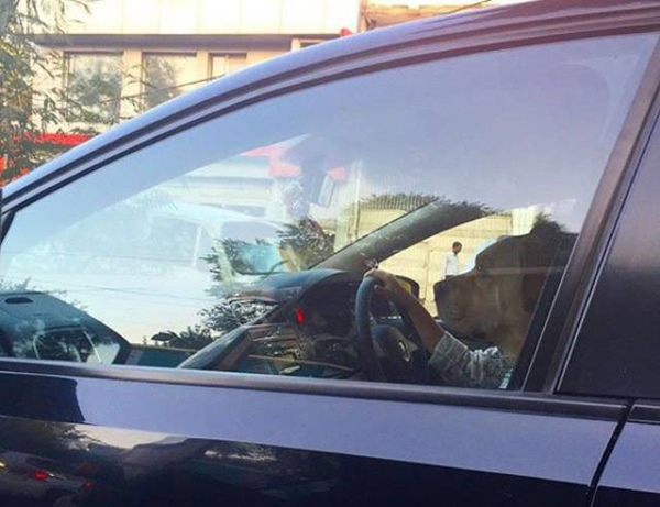 these_photos_will_make_you_do_a_double_take_640_24r