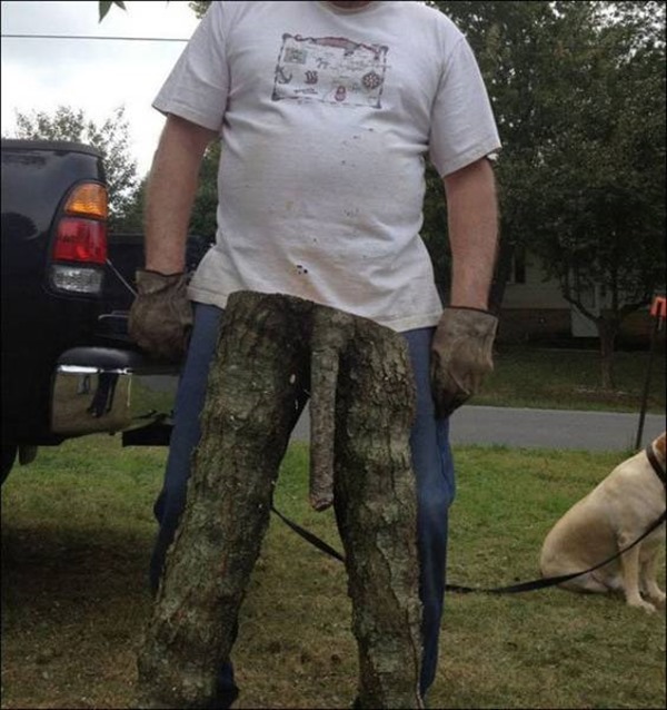 these_photos_will_make_you_do_a_double_take_640_30r